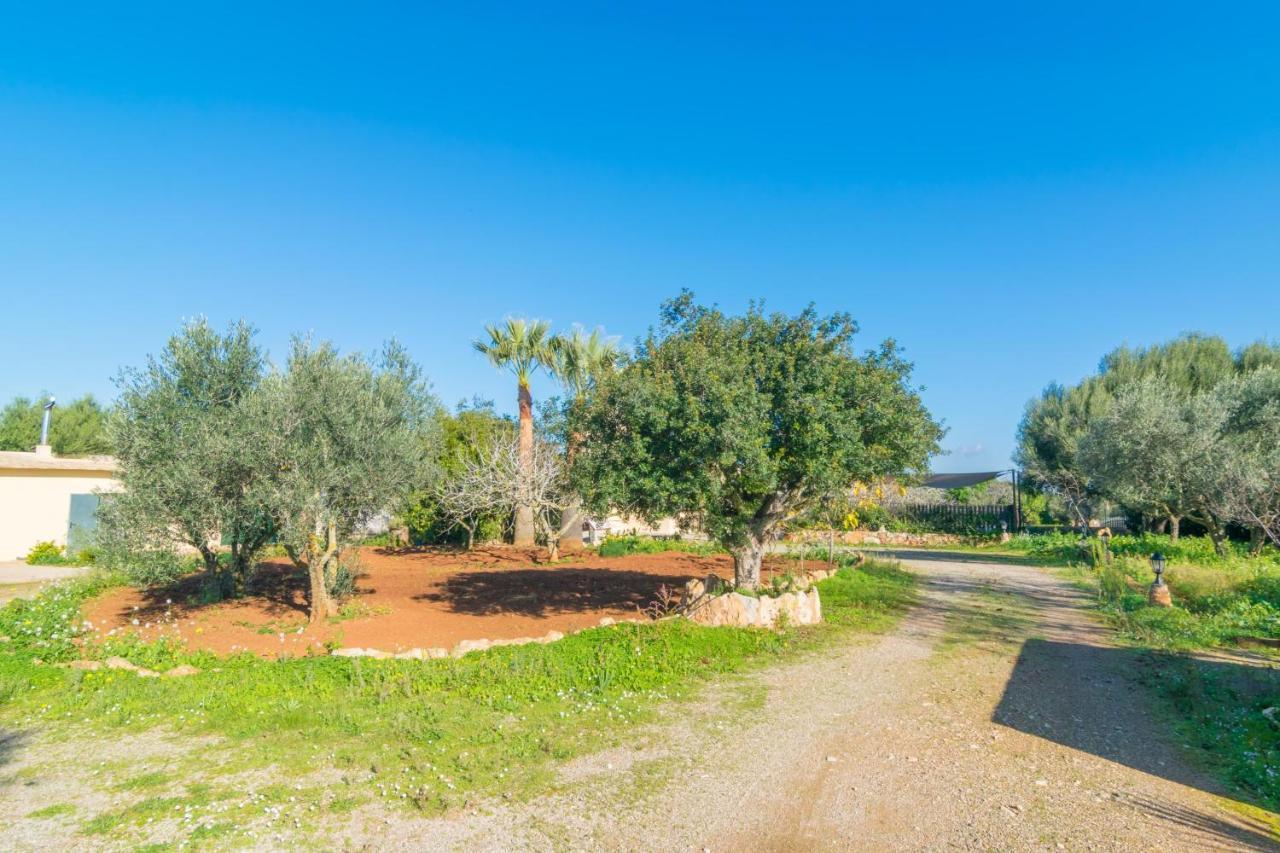 Sa Tanqueta De Ses Roques Santanyi